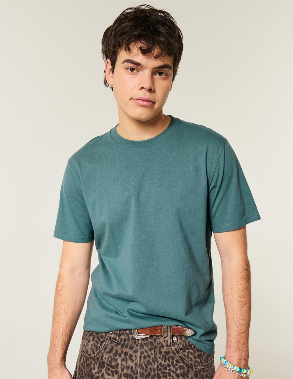 Playera Hollister cuello redondo para hombre
