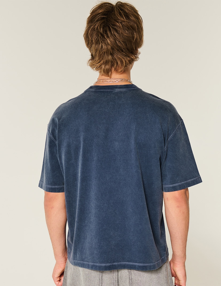 Playera Hollister cuello redondo para hombre