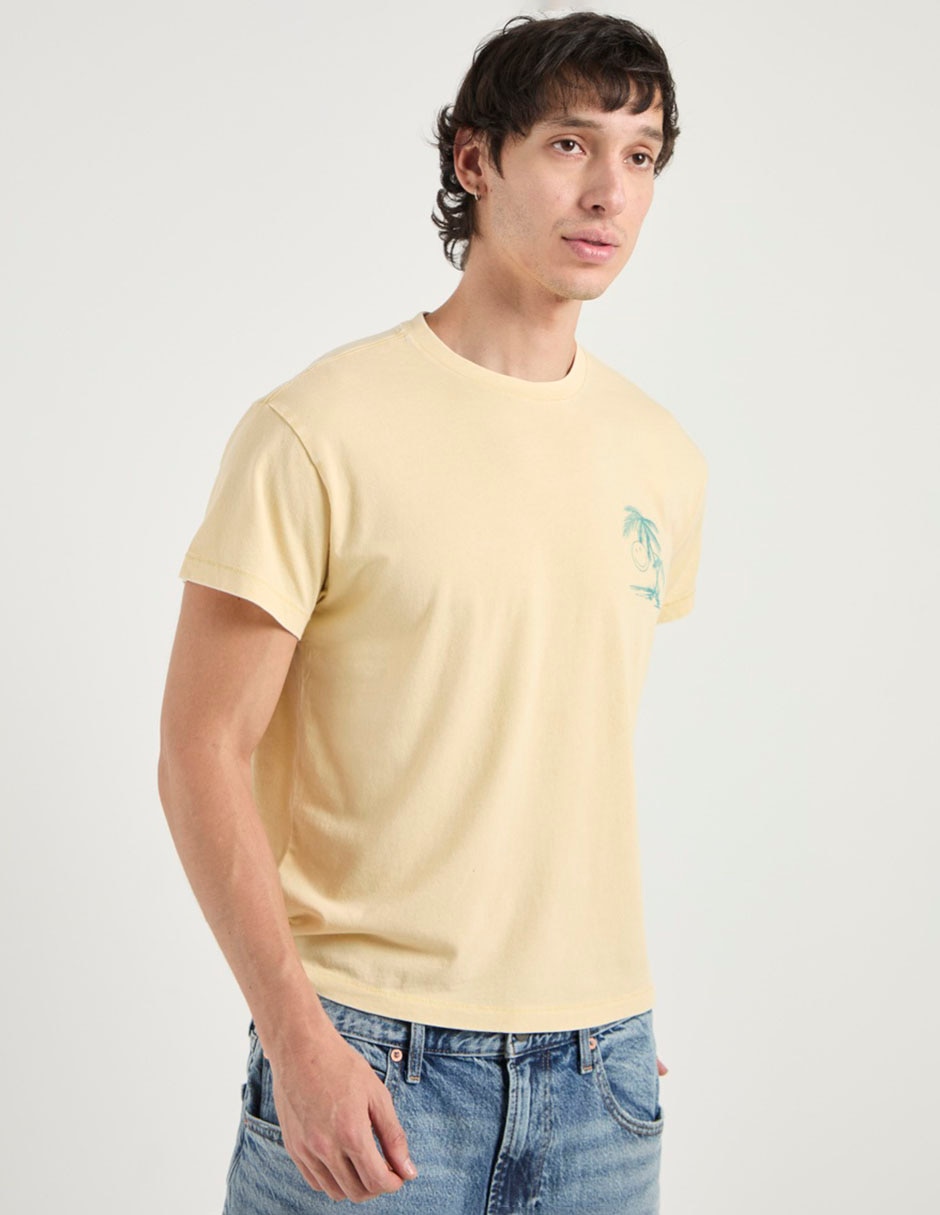 Playera american eagle tees cuello redondo para hombre
