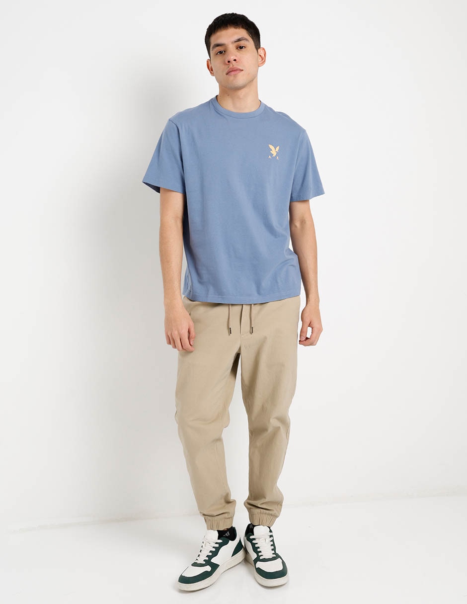 Playera American Eagle cuello redondo para hombre
