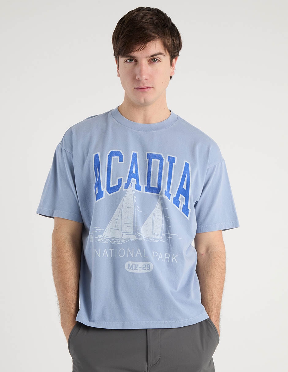 Playera American Eagle cuello redondo para hombre