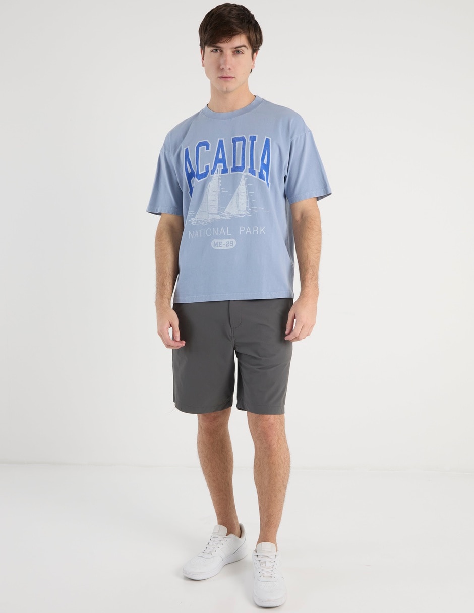 Playera American Eagle cuello redondo para hombre