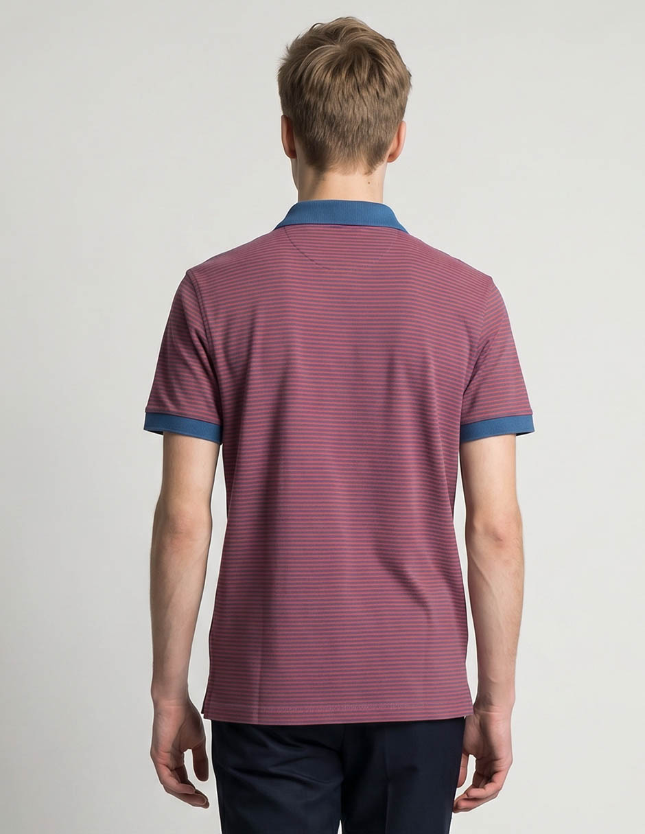 Playera tipo polo para hombre 2