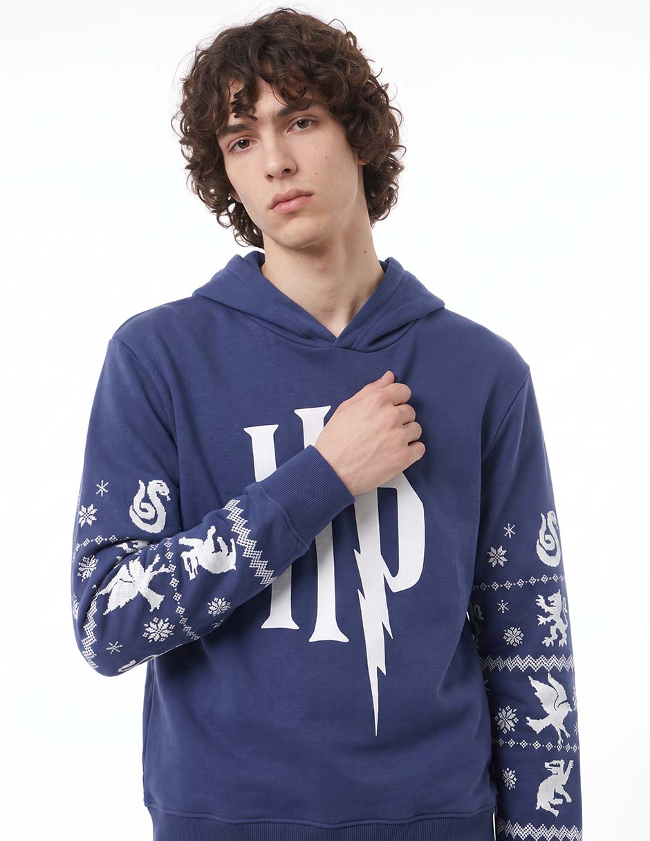 Sudadera Harry Potter para hombre 2