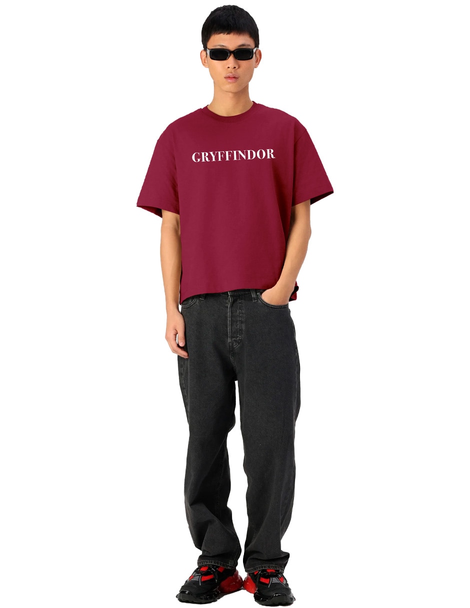 Playera Harry Potter cuello redondo para hombre 2