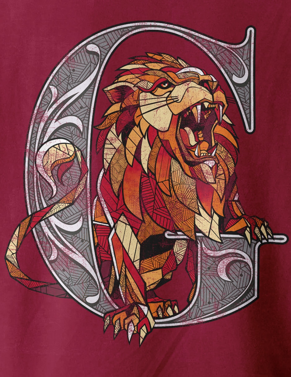 Playera Harry Potter cuello redondo para hombre 3