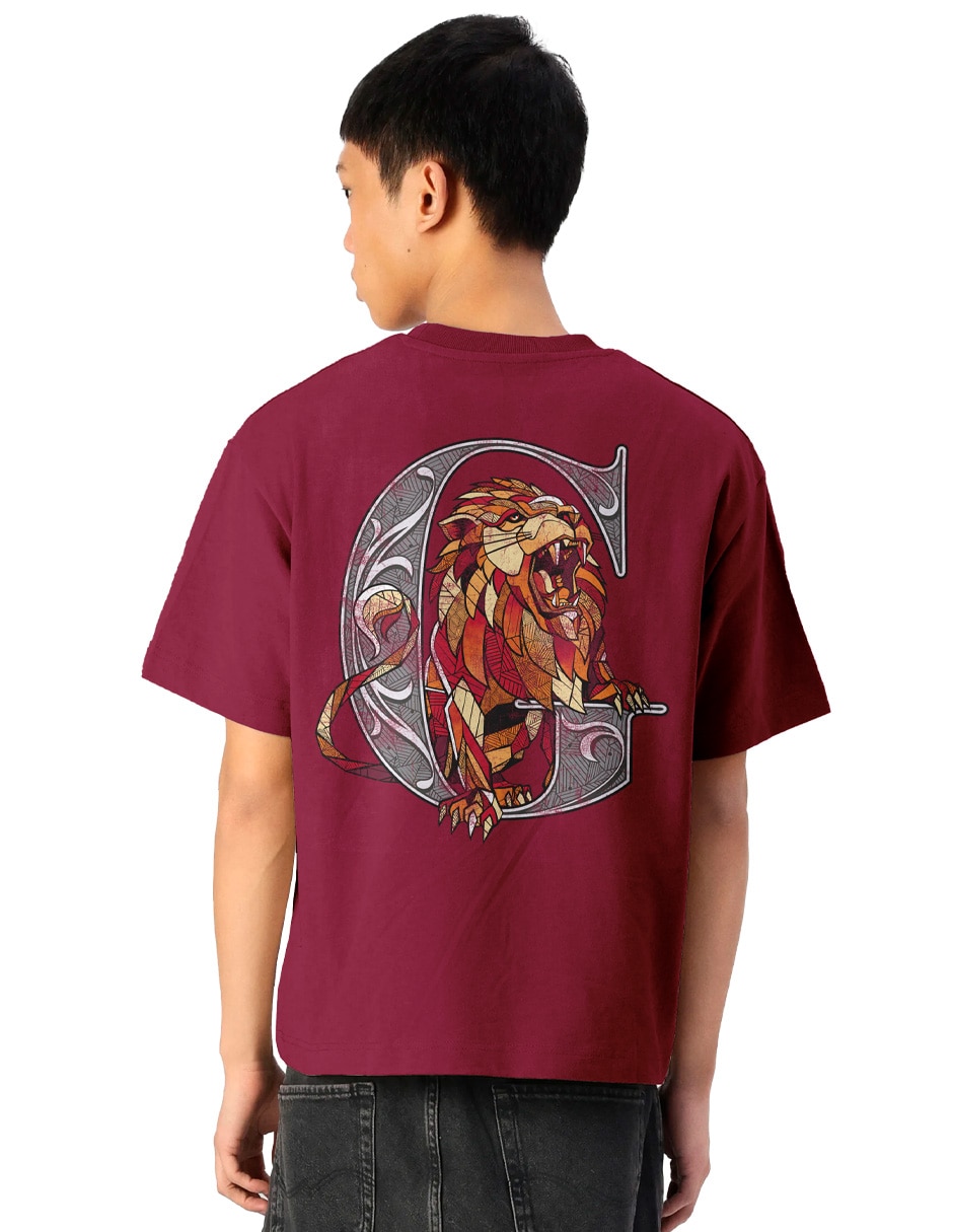 Playera Harry Potter cuello redondo para hombre 5
