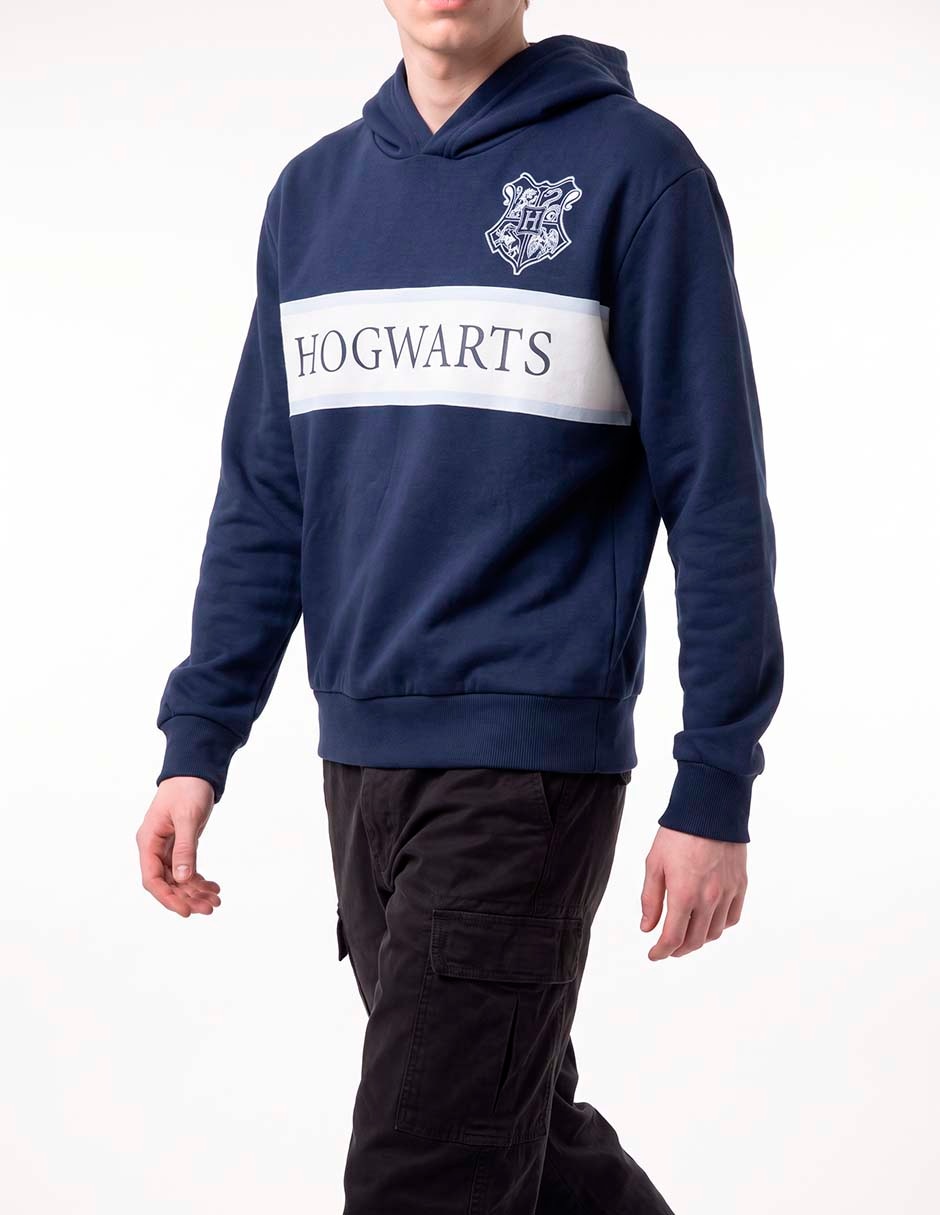 Sudadera para hombre 2